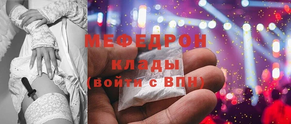 spice Богородицк